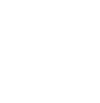 vox